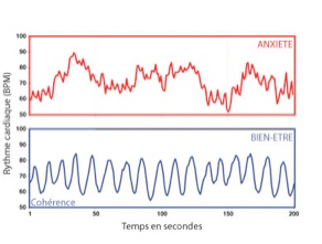 coherence_cardiaque_image.jpg